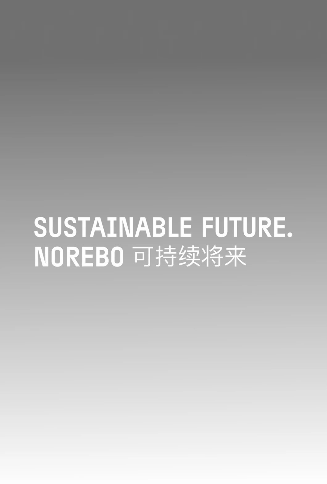 Norebo Group brand identity